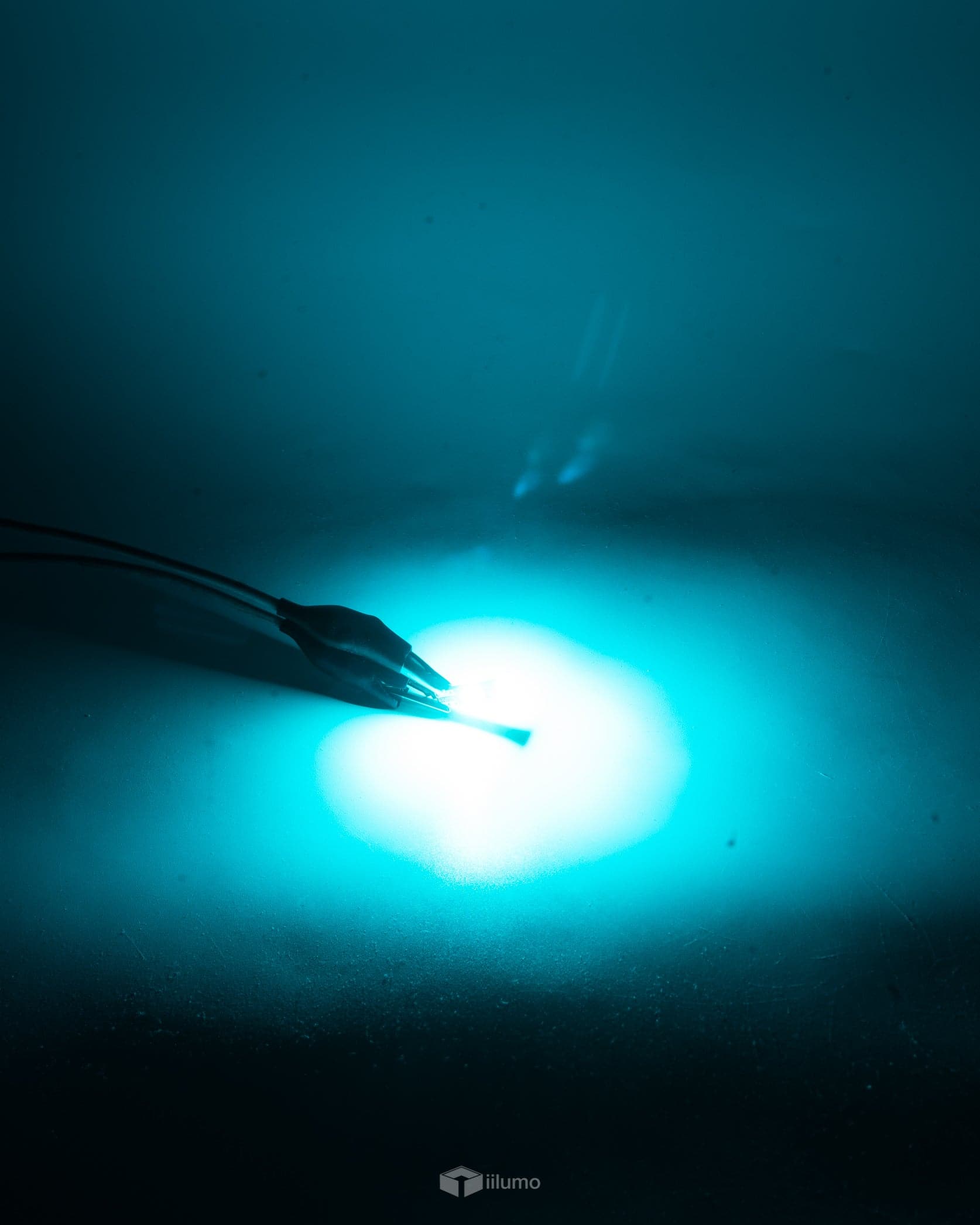 T10 CANBUS LED BULB : LIGHT BLUE - iilumo