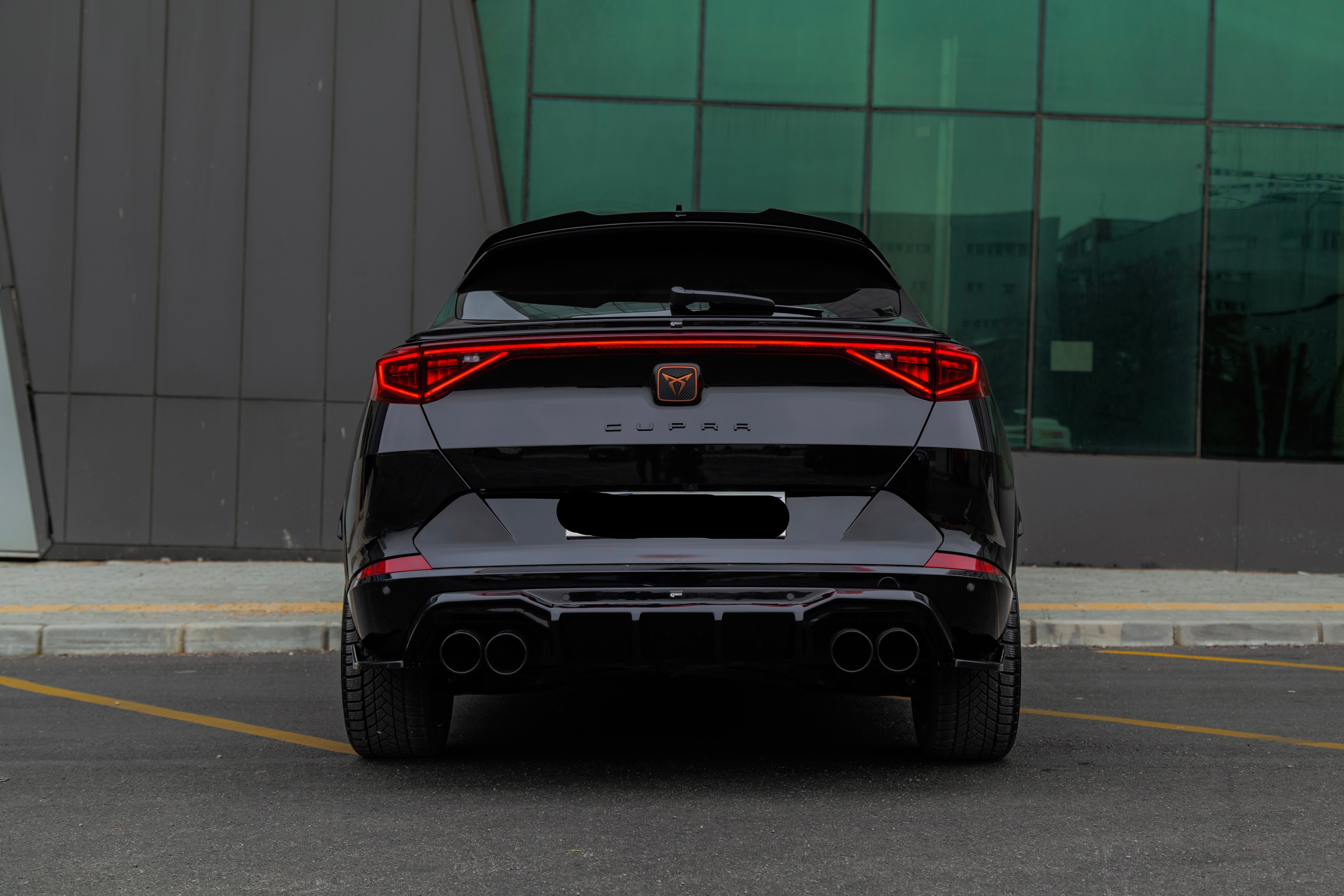 Rear Diffuser CUPRA Formentor 2020 - 2024 v2