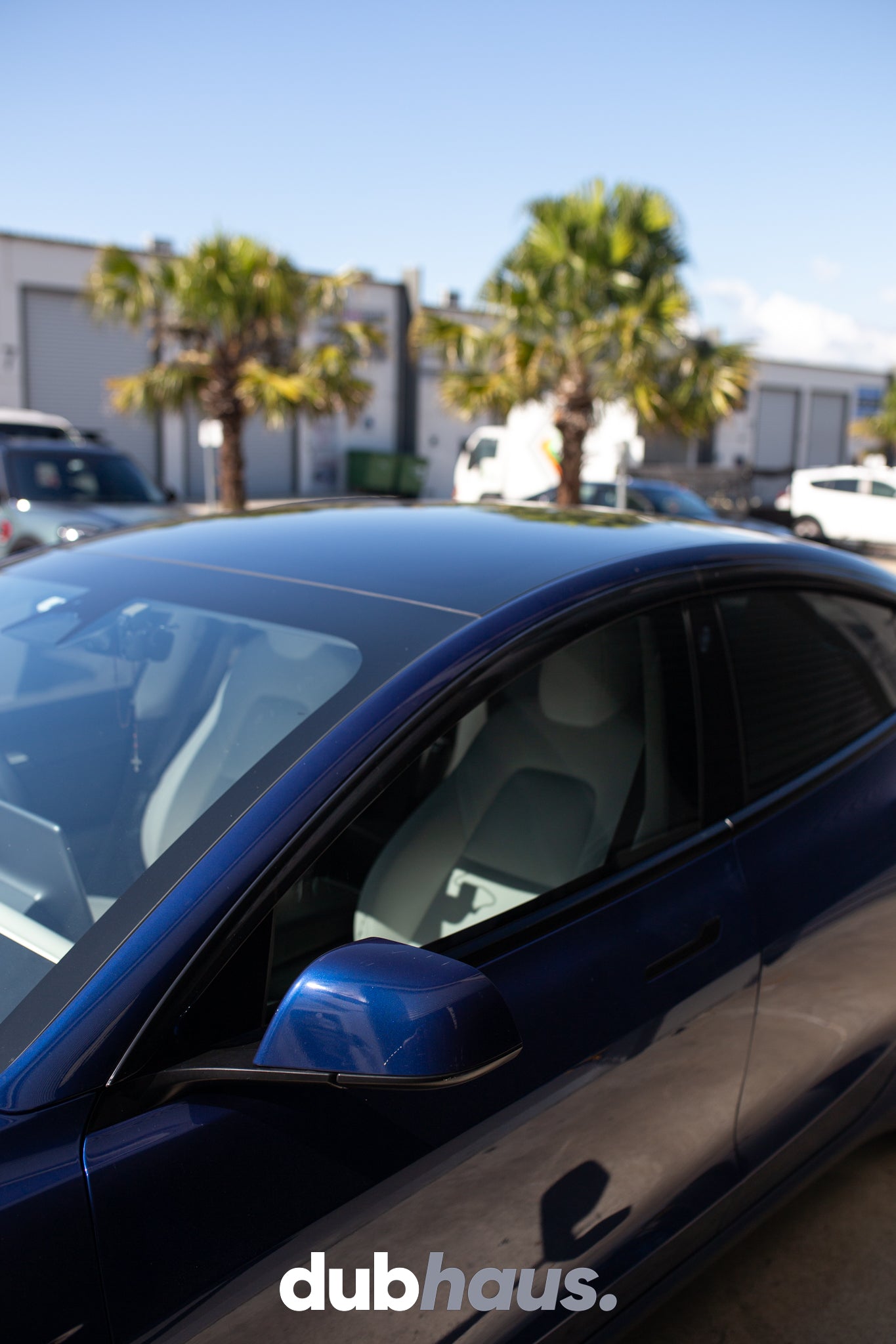 Weather Shield / Window Visor for Tesla Model 3