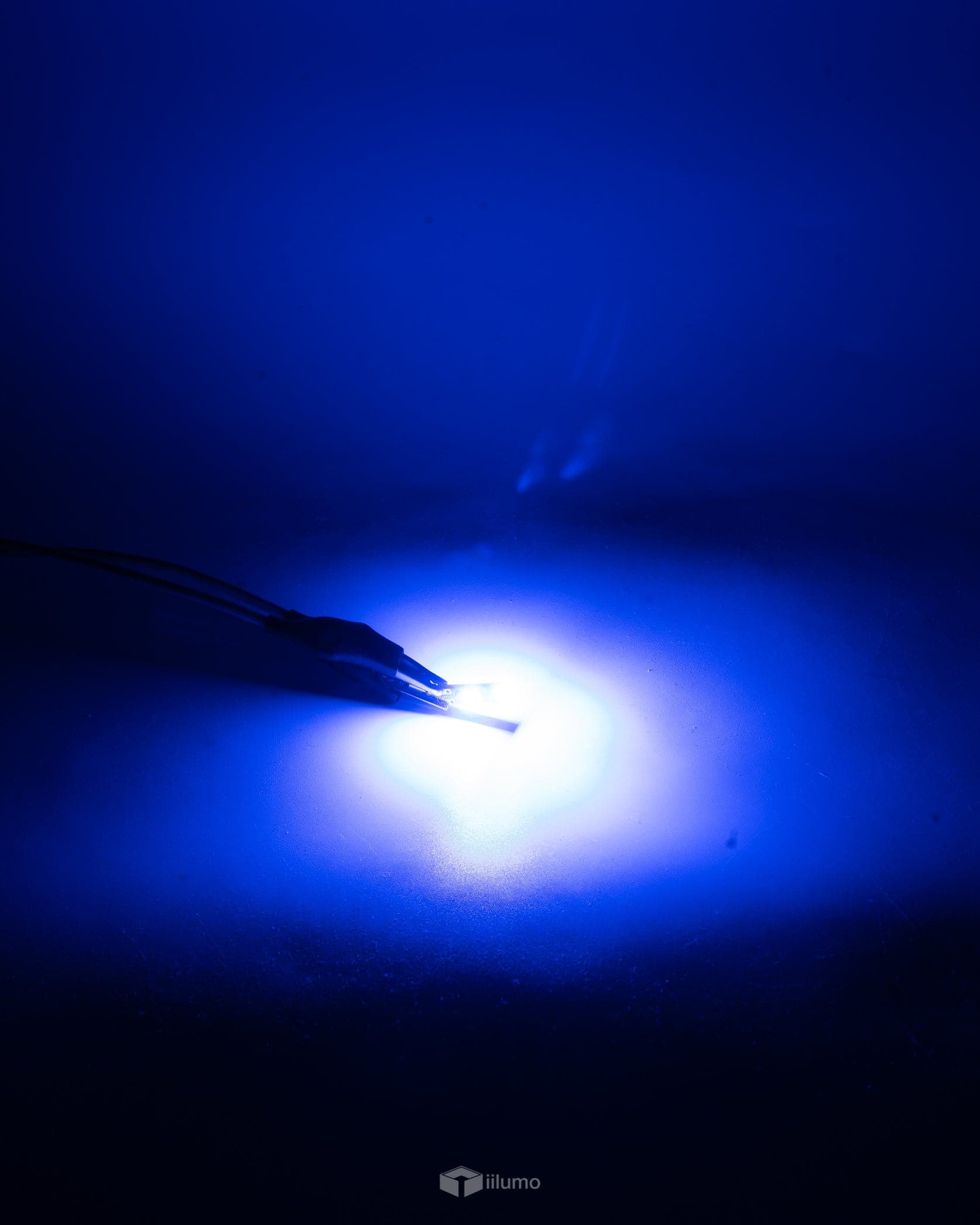 T10 CANBUS LED BULB : COLOURS - iilumo