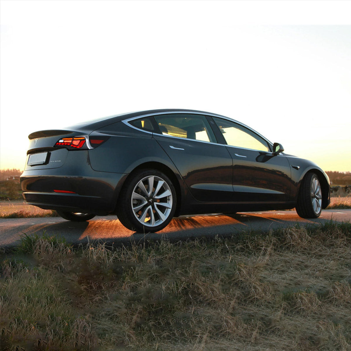 LED Tail Lights for Tesla Model 3 & Tesla Model Y 2017–2023