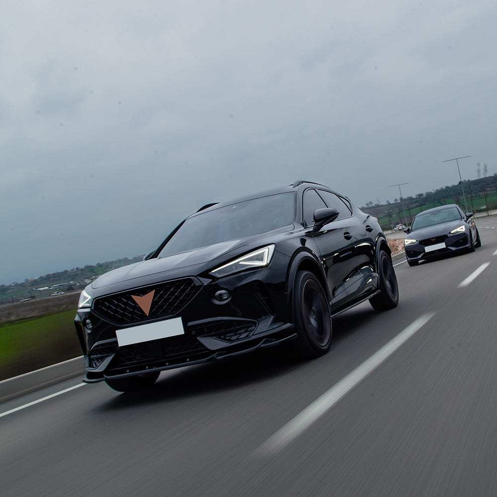 Side Skirts CUPRA Formentor 2020+